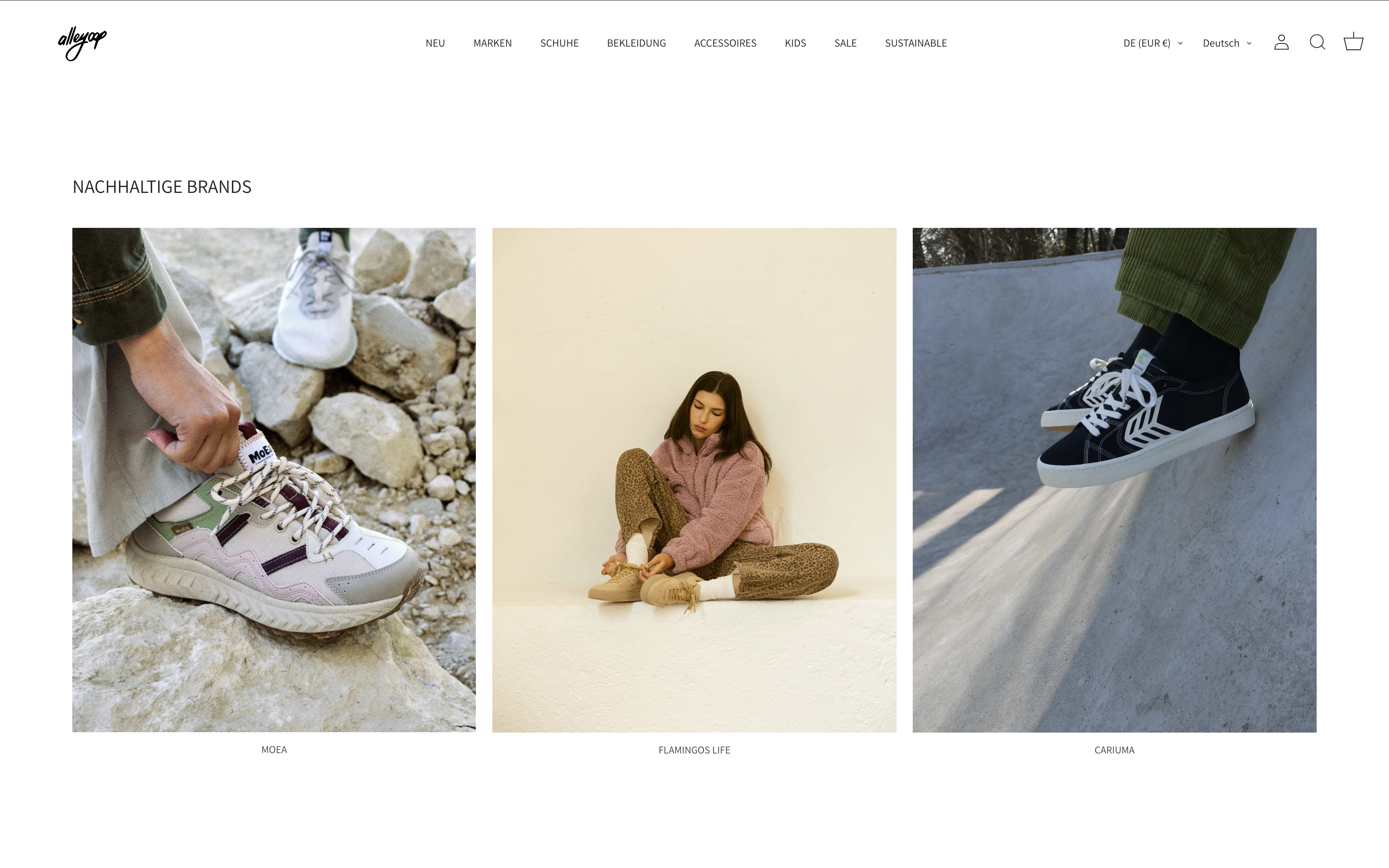 Alleyoop Shopify-Shop